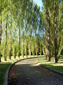 I was literally gaping while taking this picture. #originalcolours #seriously