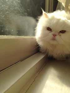 Photograph by: Parrung Pholpipattanapong