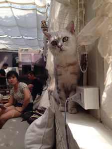 Photograph by: Parrung Pholpipattanapong