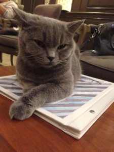 Photograph by: Parrung Pholpipattanapong