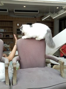 Thou shalt not pass!