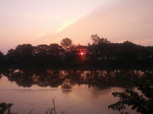 Out peeks the sun. A new day arrives.