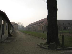 Auschwitz (10)