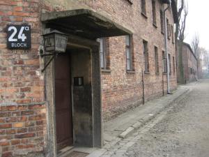 Auschwitz (13)