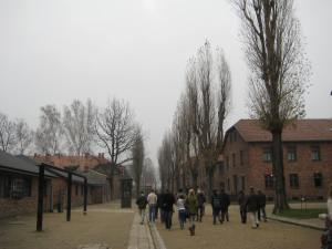 Auschwitz (22)