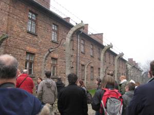 Auschwitz (28)