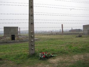 Birkenau (19)