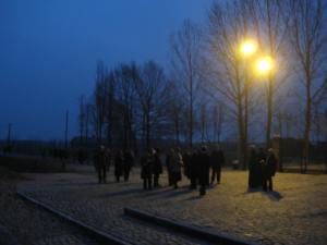 Birkenau (33)