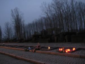 Birkenau (37)