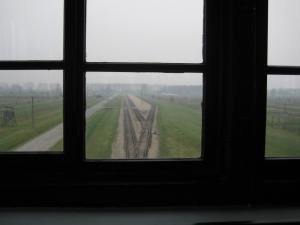 Birkenau (4)