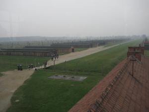 Birkenau (9)
