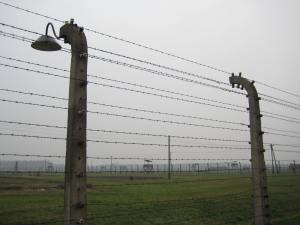 Birkenau