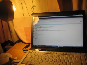 This is me sitting down in my room to write. I think it was daytime. But I couldn't find a picture. It appears I wasn't such a photocraze then as I am now.