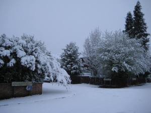 First (and last) (proper) snow in the UK. 