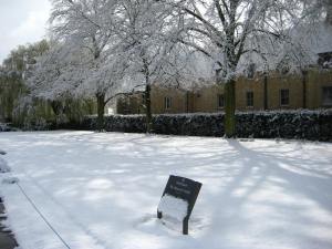 Thought I'd drop into Christchurch Meadows...