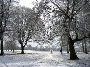 And the Meadows did not disappoint...