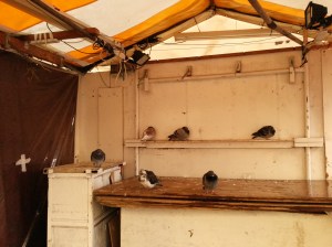 Market stall. Apparently selling pigeons.